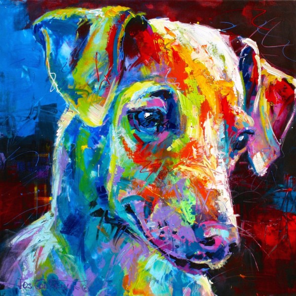 Greyhound Puppy